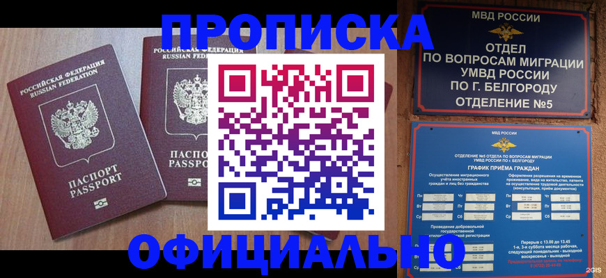 найти адрес прописки в Николаевске